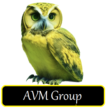 AVM Group Logo